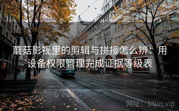 蘑菇影视里的剪辑与拼接怎么辨：用设备权限管理完成证据等级表