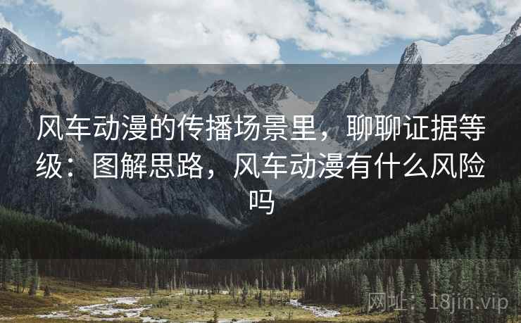 风车动漫的传播场景里，聊聊证据等级：图解思路，风车动漫有什么风险吗