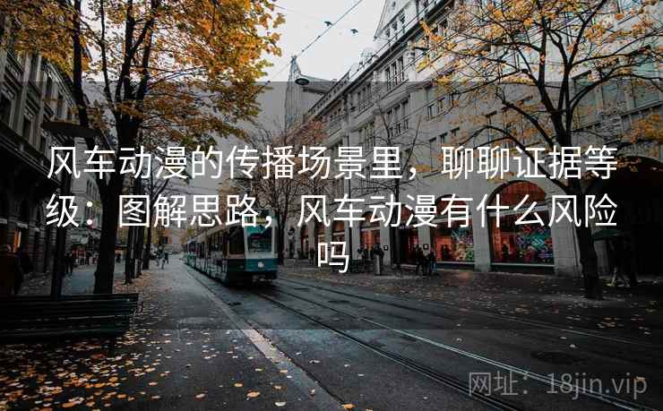 风车动漫的传播场景里，聊聊证据等级：图解思路，风车动漫有什么风险吗