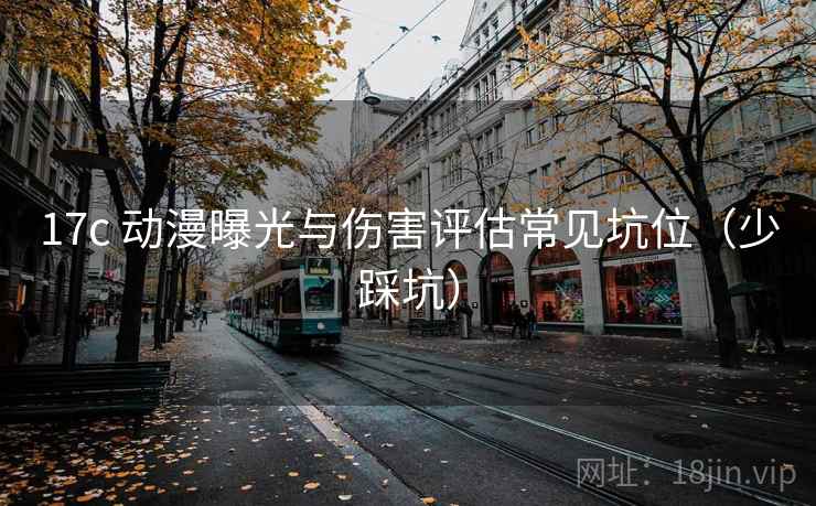 17c 动漫曝光与伤害评估常见坑位（少踩坑）